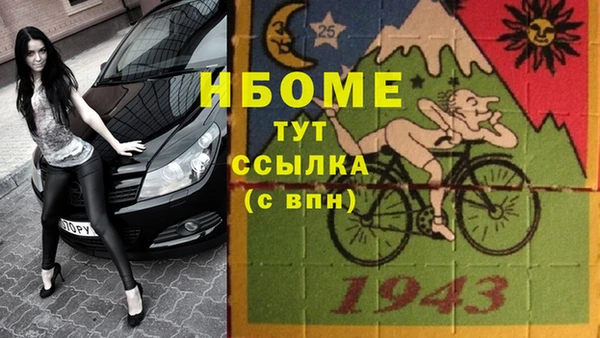 ПСИЛОЦИБИНОВЫЕ ГРИБЫ Баксан