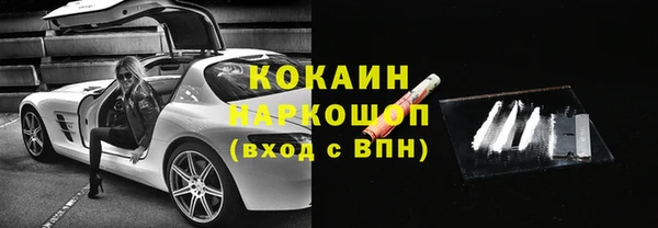 шишки Беломорск