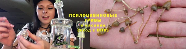 дживик Балабаново