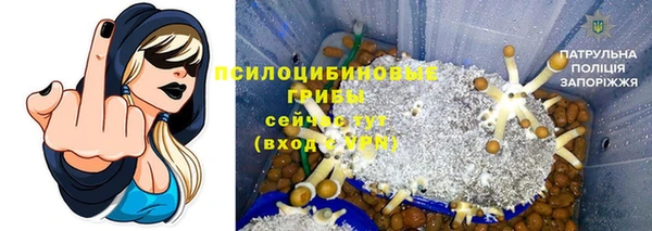 ПСИЛОЦИБИНОВЫЕ ГРИБЫ Баксан